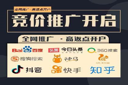 行业领先的SEM投放效果案例解析
